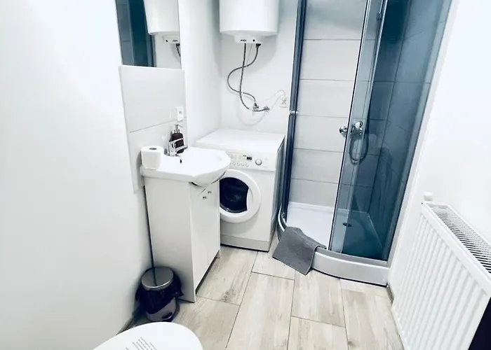 Nr.2 Nad Jeziorem W Puszczy Zielonka *